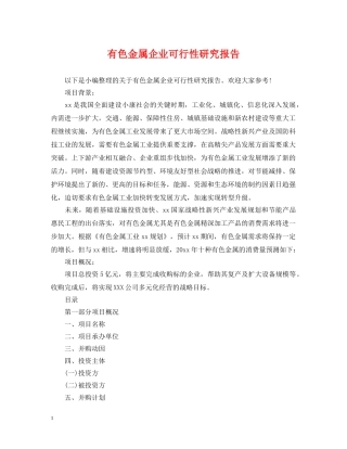 有色金属企业可行性研究报告 