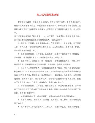 员工试用期结束评语 