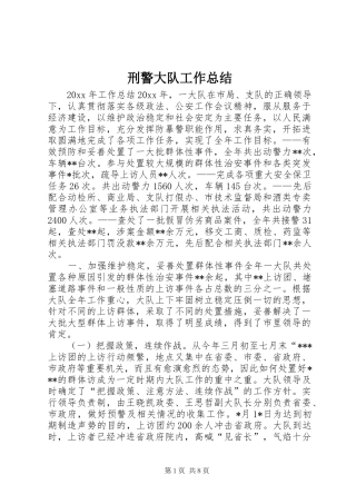 刑警大队工作总结 