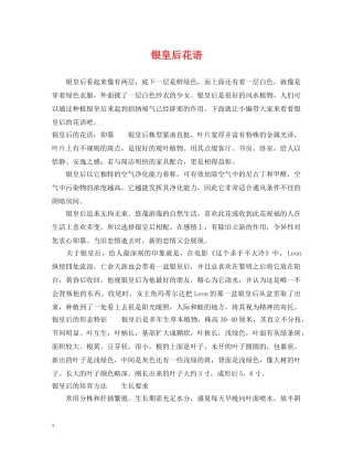 银皇后花语 