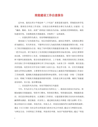 效能建设工作自查报告 