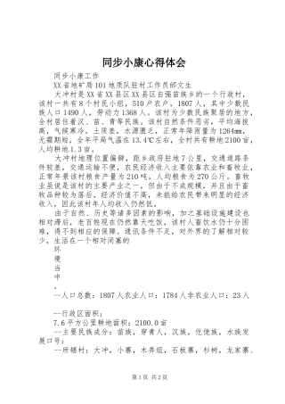 同步小康体会心得