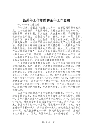 县某年工作总结和某年工作思路 