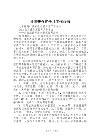 县农普办宣传月工作总结 