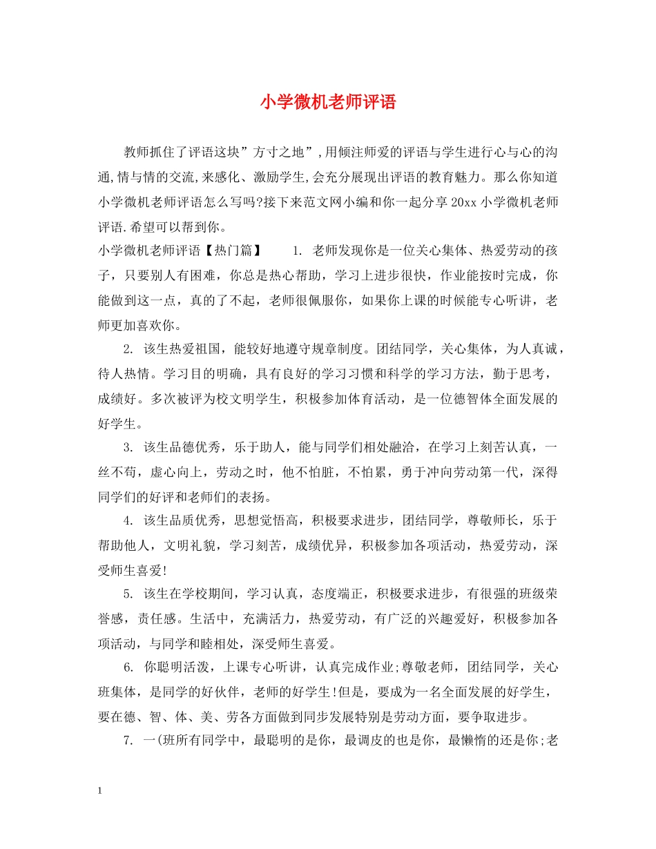 小学微机老师评语 _第1页