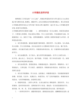 小学微机老师评语 