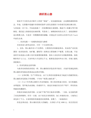 调研黑山寨 