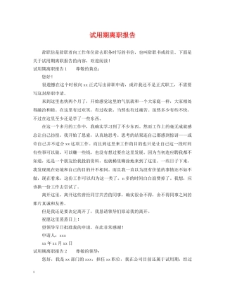 试用期离职报告 