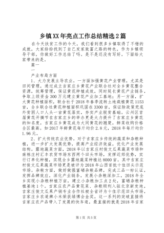 乡镇XX年亮点工作总结精选2篇