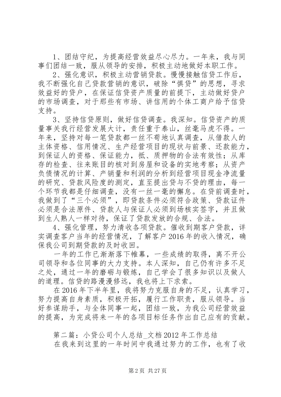 小贷公司个人工作总结 _第2页