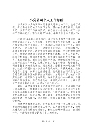 小贷公司个人工作总结 