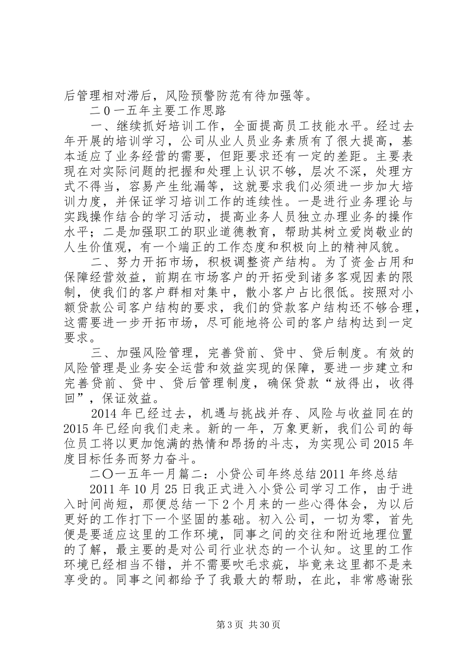 小贷公司工作总结 _第3页