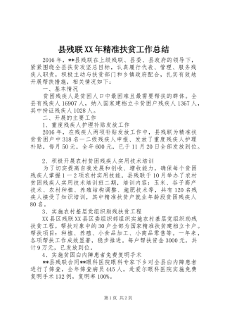 县残联XX年精准扶贫工作总结 