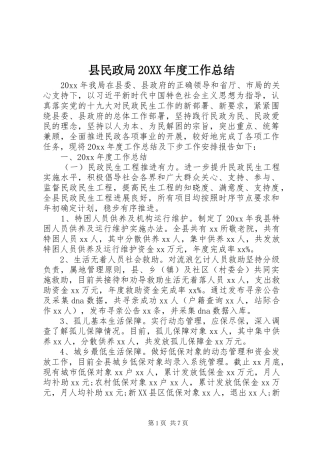 县民政局20XX年度工作总结