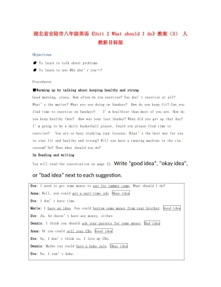 湖北省安陆市八年级英语《Unit 2 What should I do》教案（3） 人教新目标版