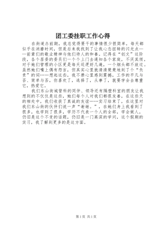 团工委挂职工作心得