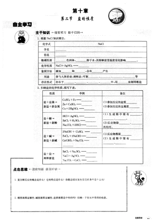 九年级化学《10.2盐的性质》学案北京课改版