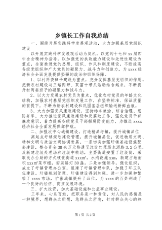 乡镇长工作自我总结 
