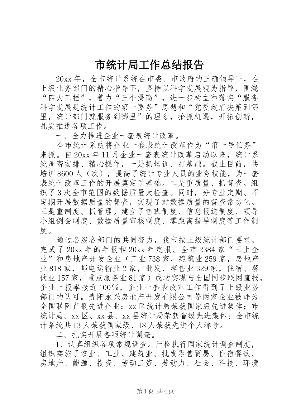 市统计局工作总结报告 _第1页