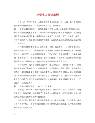小学实习日记范例 