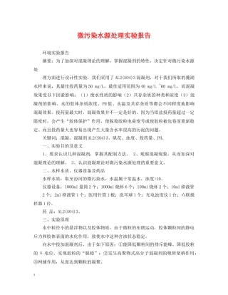微污染水源处理实验报告 
