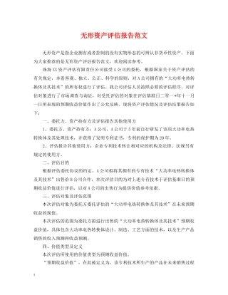 无形资产评估报告范文 