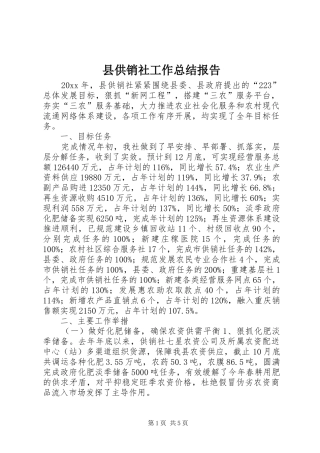 县供销社工作总结报告 