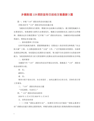 乡镇街道119消防宣传日活动方案最新3篇