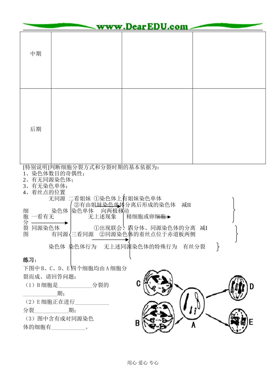 减数分裂第三课时_第2页