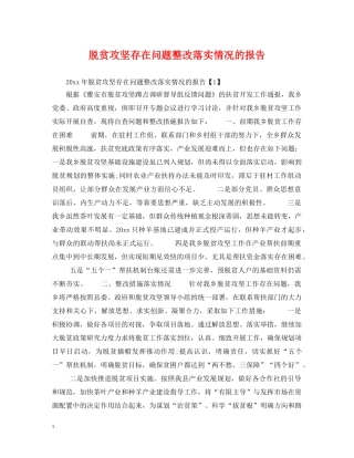 脱贫攻坚存在问题整改落实情况的报告 