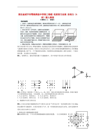 湖北省咸宁市鄂南高级中学高二物理 优质预习全案 安培力（A班）新人教版