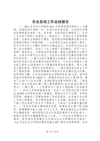 市水务局工作总结报告 