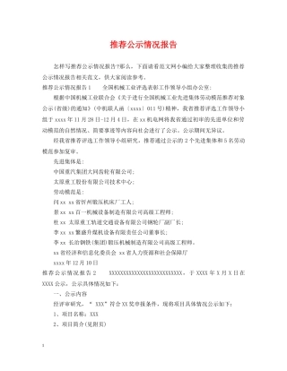 推荐公示情况报告 