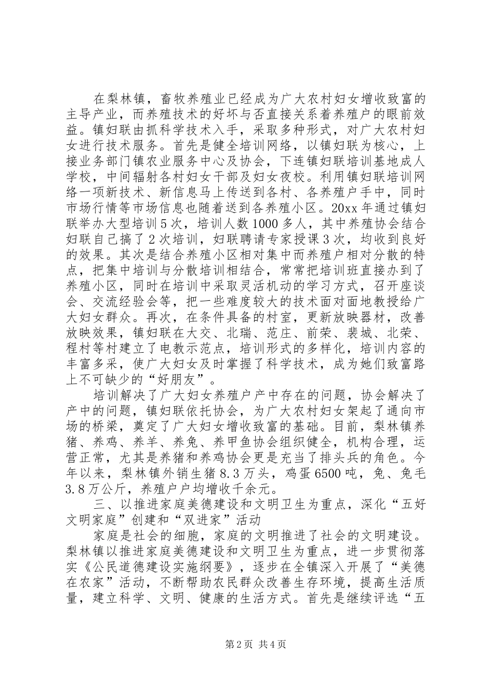 乡镇妇联工作总结 (22)_第2页