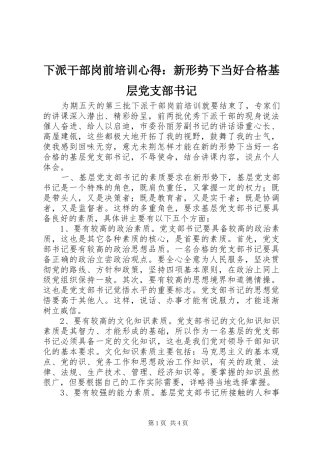 下派干部岗前培训心得：新形势下当好合格基层党支部书记