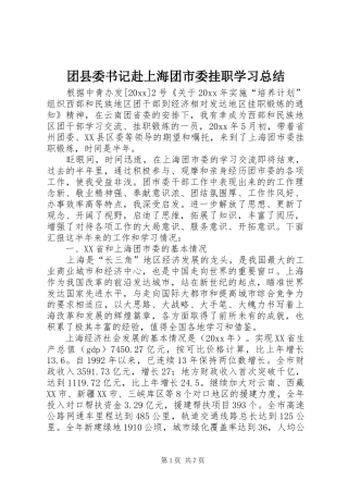 团县委书记赴上海团市委挂职学习总结 