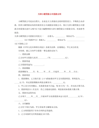 天津小额贷款公司借款合同 