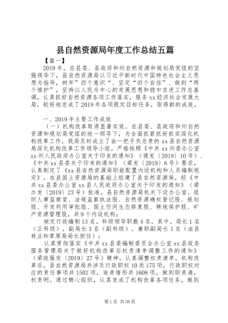 县自然资源局年度工作总结五篇 