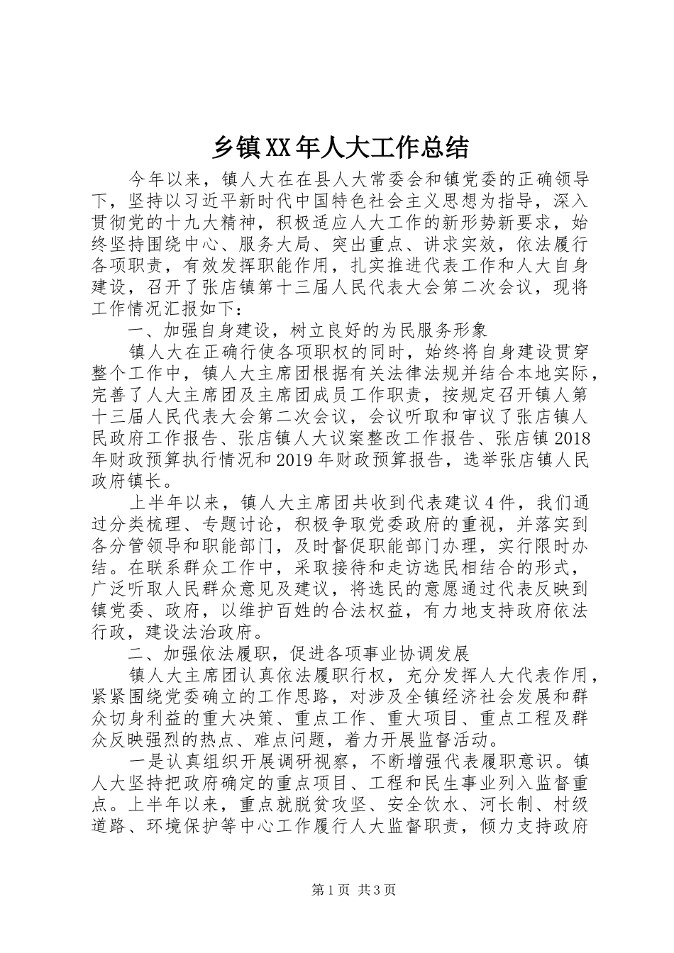 乡镇XX年人大工作总结 _第1页
