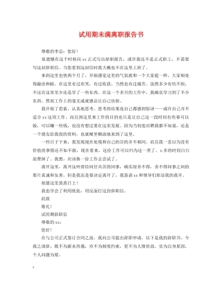 试用期未满离职报告书 