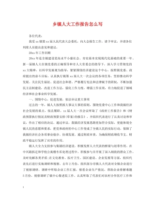 乡镇人大工作报告怎么写