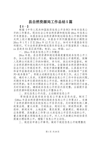 县自然资源局工作总结5篇 