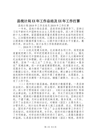 县统计局XX年工作总结及XX年工作打算 