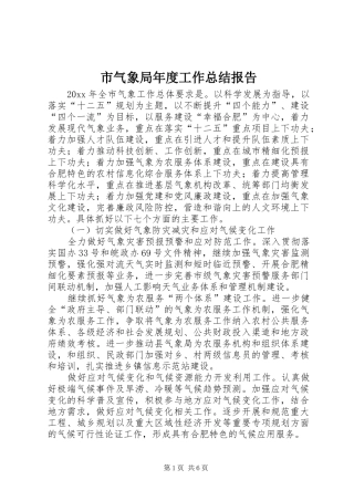 市气象局年度工作总结报告 