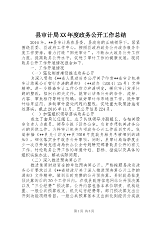 县审计局XX年度政务公开工作总结 