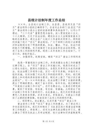 县统计法制年度工作总结 