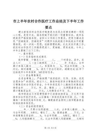 市上半年农村合作医疗工作总结及下半年工作要点 