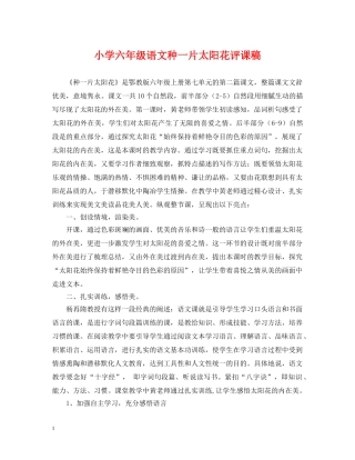 小学六年级语文种一片太阳花评课稿 