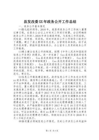 县发改委XX年政务公开工作总结 