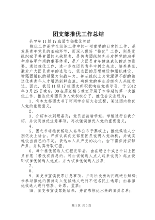 团支部推优工作总结 